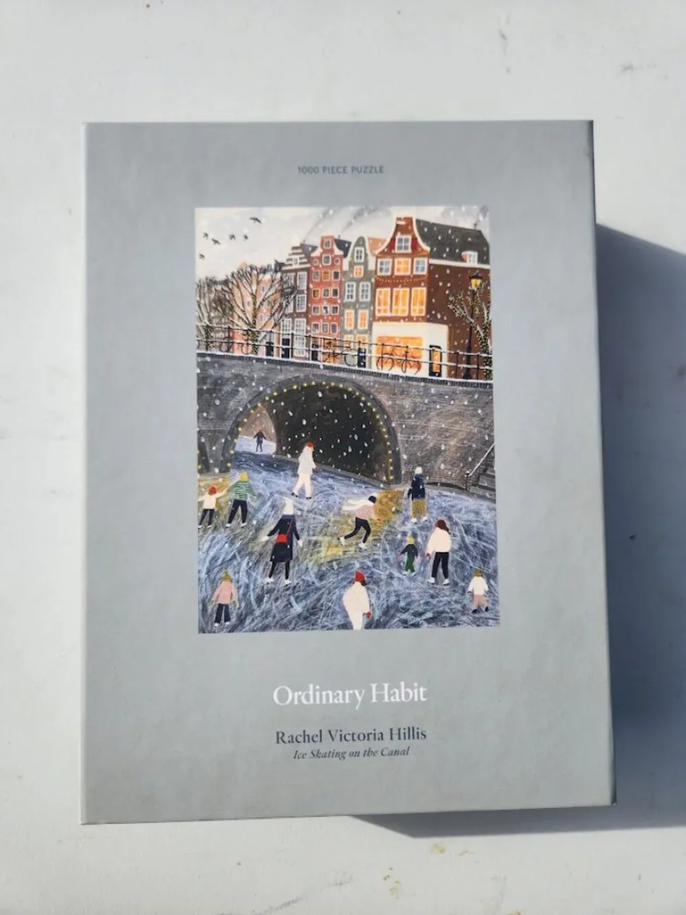 Ice Skating on the Canal 1000 Piece Puzzle Ordinary Habit Rachel Victoria Hillis